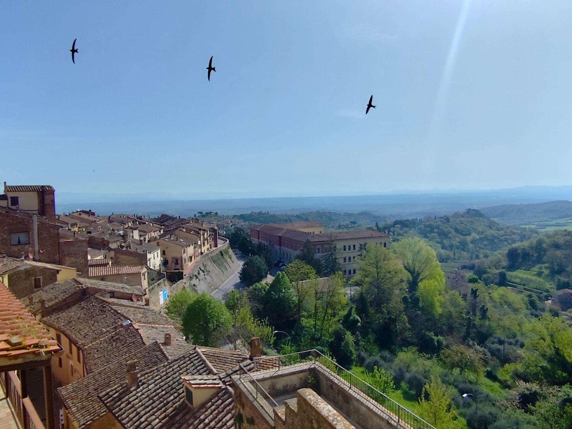 Montepulciano Stazione Dimora Dell'Erbe Apartment מראה חיצוני תמונה